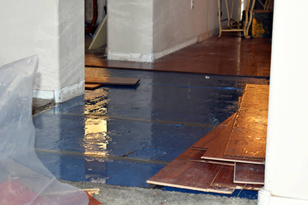Professional Burst Pipe Cleanup technician working in Westport Point, MA